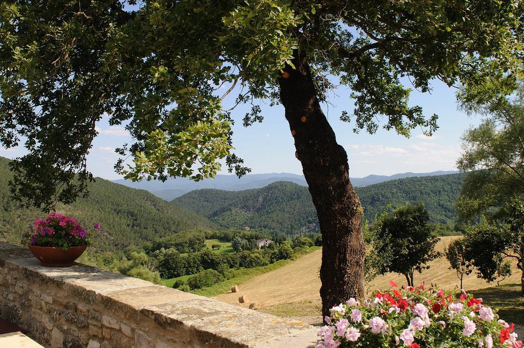 Locanda Del Viandante B&B Ангьяри Экстерьер фото